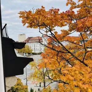 Baby-sitter expérimenté à la recherche d'un emploi 