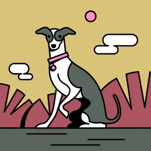 Garde douce pour vos compagnons