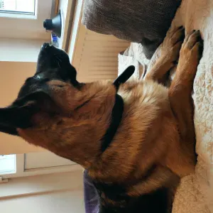 Cherche femme de ménage 