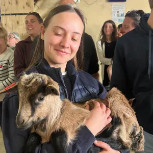 Pet-sitter vers Thionville. De chat ou de NAC