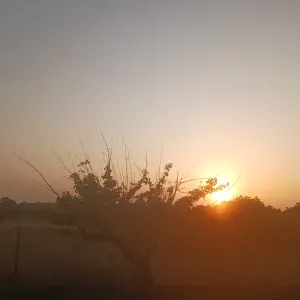 Oferta de emprego para um cuidador em Sesimbra