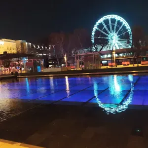 Pet sitter à Nantes motivée :) ! 