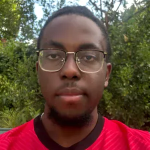 Baby-sitter non expérimenté (débutant)