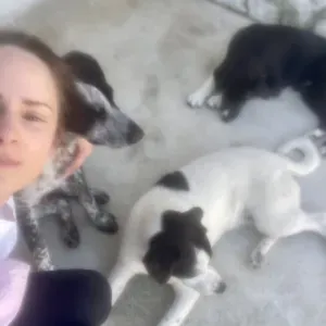 Weekend and Evening Pet Sitter em Almada/Lisboa