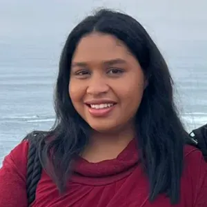 Empregada de limpeza responsável em alcobaça 