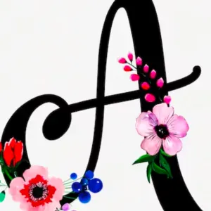 Aide à domicile dans le 95 (isle adam et proximité)