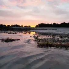 prof particulier étudiante à Lyon 