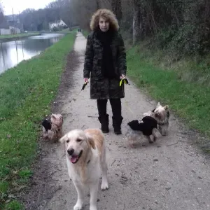 Femme de ménage en cesu(+) Cepoy et alentours 