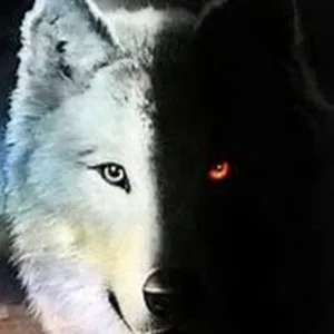 Cercasi servizio di pulizie