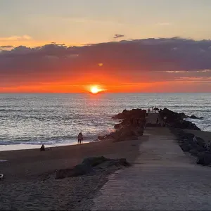 Poste de dame de compagnie - Aide à domicile à Marsanna...