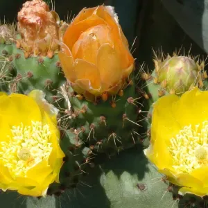 Offerta di lavoro per tata – assistenza all'infanzia a ...