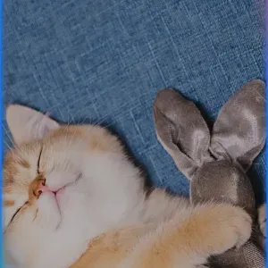 je recherche un soutien scolaire 