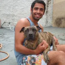 🐾 Cuido do seu filho patudo como se meu fosse! 🐾