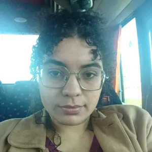 Limpeza, Organização e Engomar 