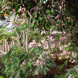 Je cherche un(e) petsitter près de chez moi