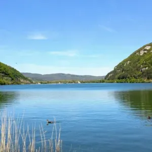 Pet-sitter à Marseille (propriétaire d'un chat qui a 7 ans)