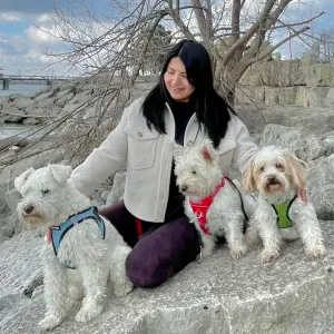 Looking for a dog sitter for my two small dogs