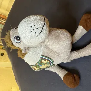 Pet-sitter aux alentour de drancy!