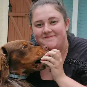 Recherche des animaux pour s'occuper d'eux