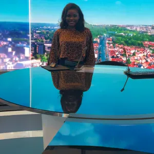 Babysitting , ménage , garde des enfants , garde d'animaux 