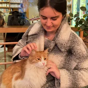 Petsitter in seville (cat-dog)