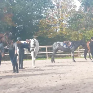 Surveillante d'enfants à paris 