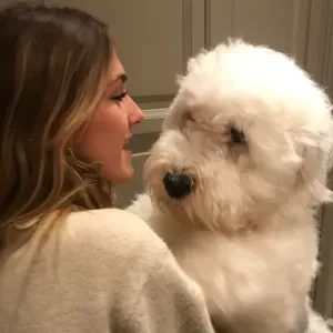 Garde et promenade d'animaux à Paris 