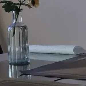 recherche aide ménagere 