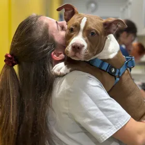 Pet sitting e estadia familiar 