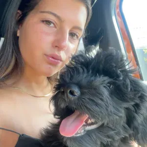 Pet sitting zona de Amora/Aroeira/Charneca