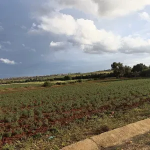 Aide à domicile pour vos proches 