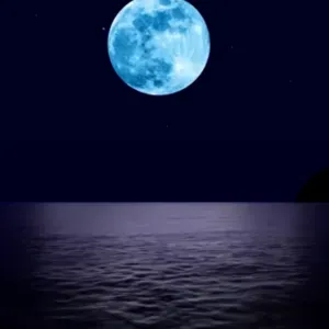 Menage particulier saint malo 