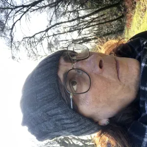 Femme de ménage sur malestroit et ses environs