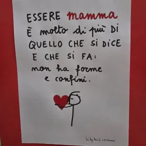 Lavoro babysitter Bressana Bottarone