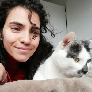 Garde animaux, ou promenade sur le secteur de Lisieux !