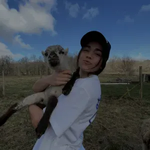 Aide aux devoirs et cours particuliers, primaire et collège 