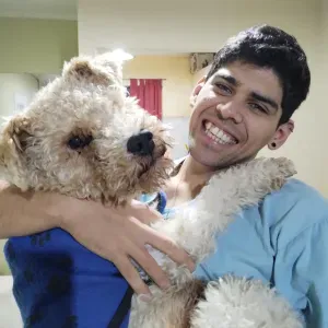 Cuidador de mascotas en Alicante 