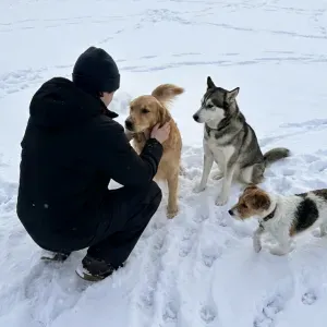 Pet-sitter à Lausanne avec expérience – Chiens