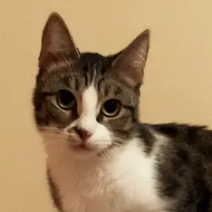 ACCOMPAGNER UNE PERSONNE AGEE