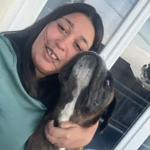 À la recherche d'un petsitter 