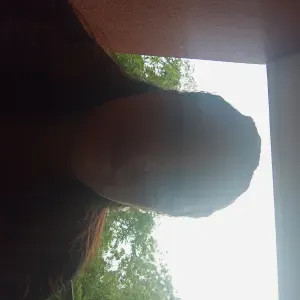 Aide ménagère dans le val de marne et baby sitter 