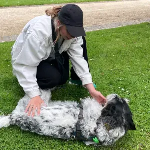 Aide à domicile à Watermael-Boitsfort 