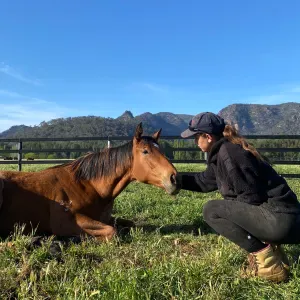 Pet-sitter sur le BAB ! Passionnée par les animaux 
