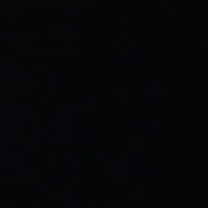 Pet Sitting na cidade de Leiria