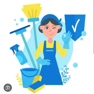 Realizo limpieza XATIVA VALENCIA con atencion al detalle