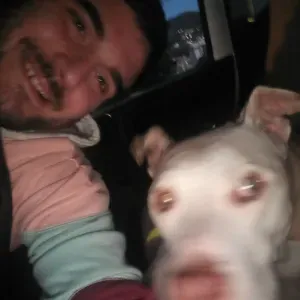 Pet sitting canavese. 