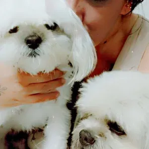 Procuro cuidador para 2 cães