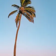 Femme de ménage et babysitting à Chambéry 