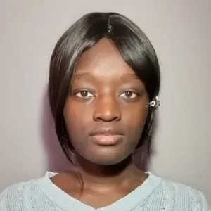 Baby sitter expérimenté au mans