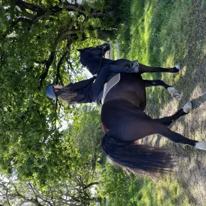Baby-sitter dans paris 9eme arrondissement 